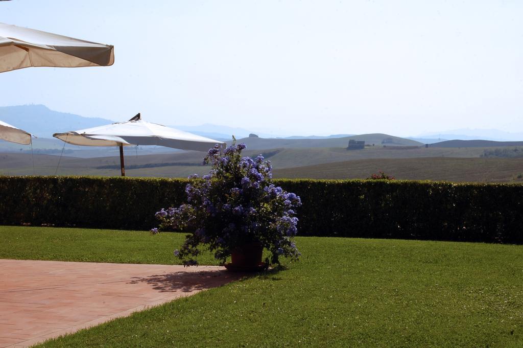 Agriturismo San Francesco Amalia And Anna Orciatico Eksteriør bilde